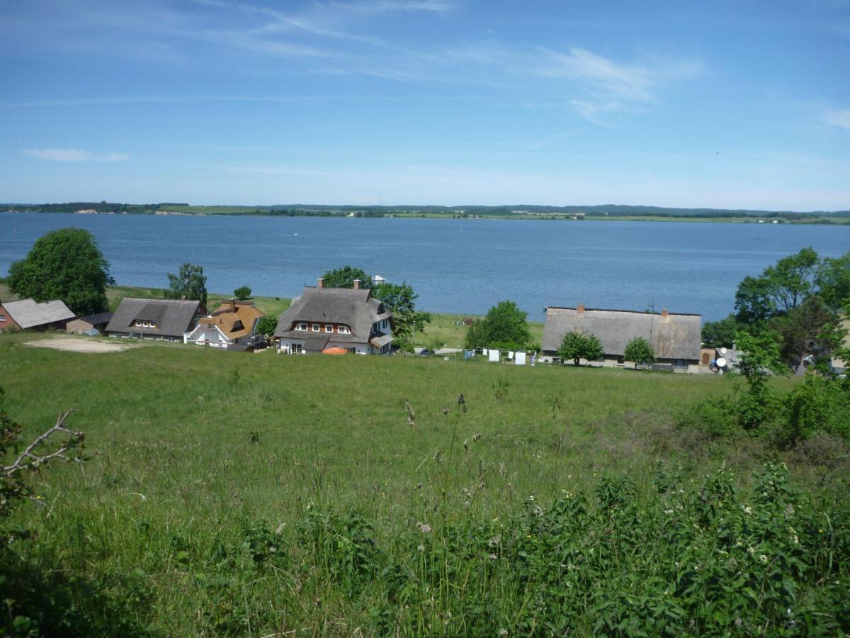 Insel Feuerstein * Gager